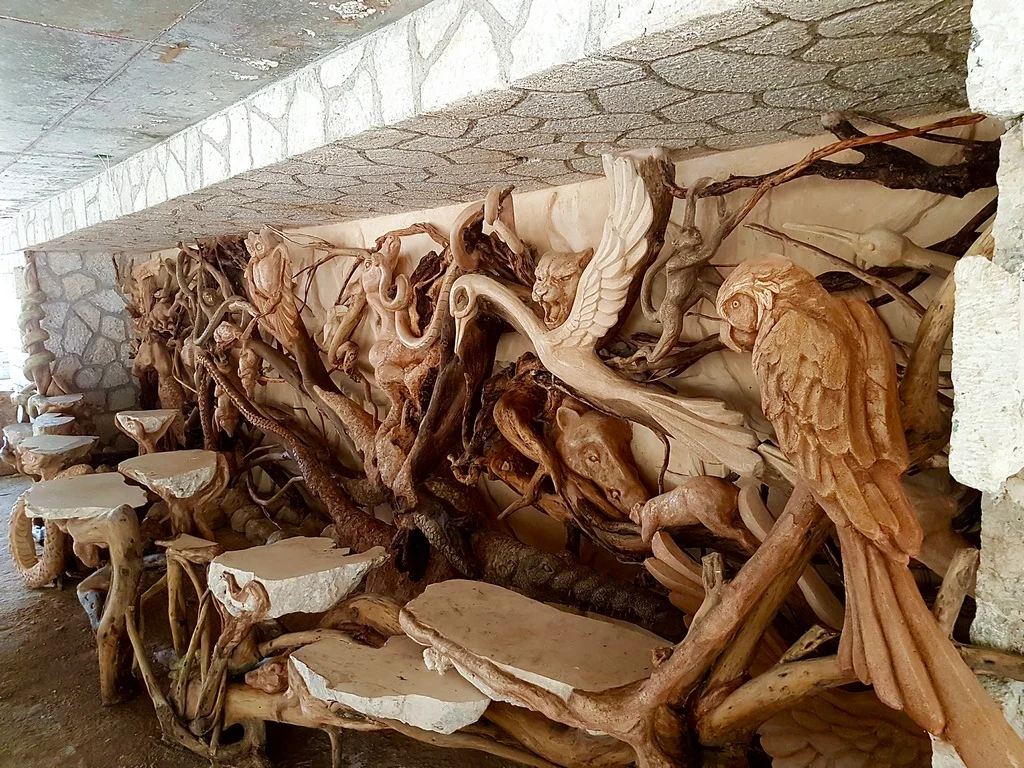 Xcaret México, documentación de la intervención