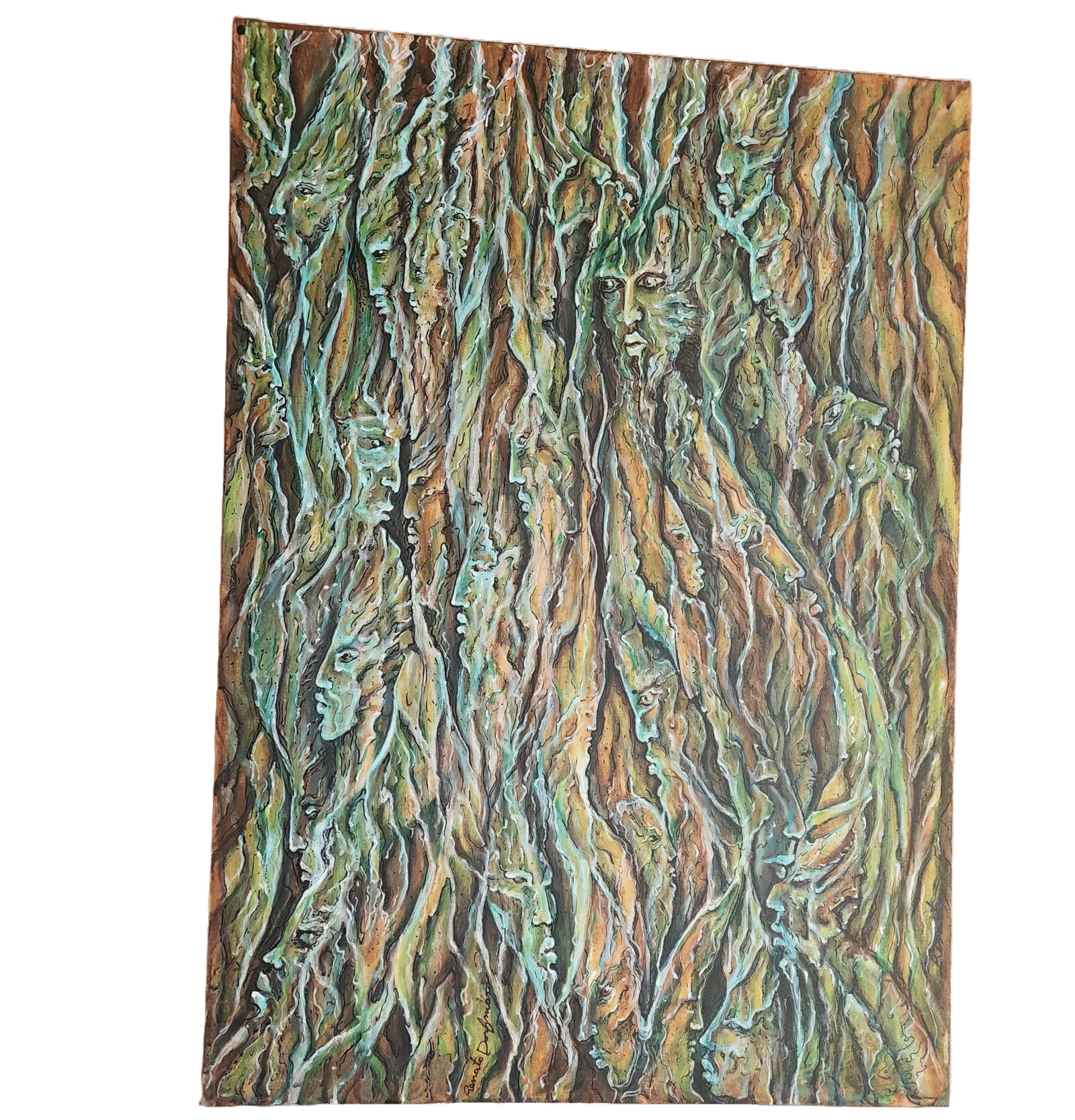 Somos selva, vista del catálogo histórico