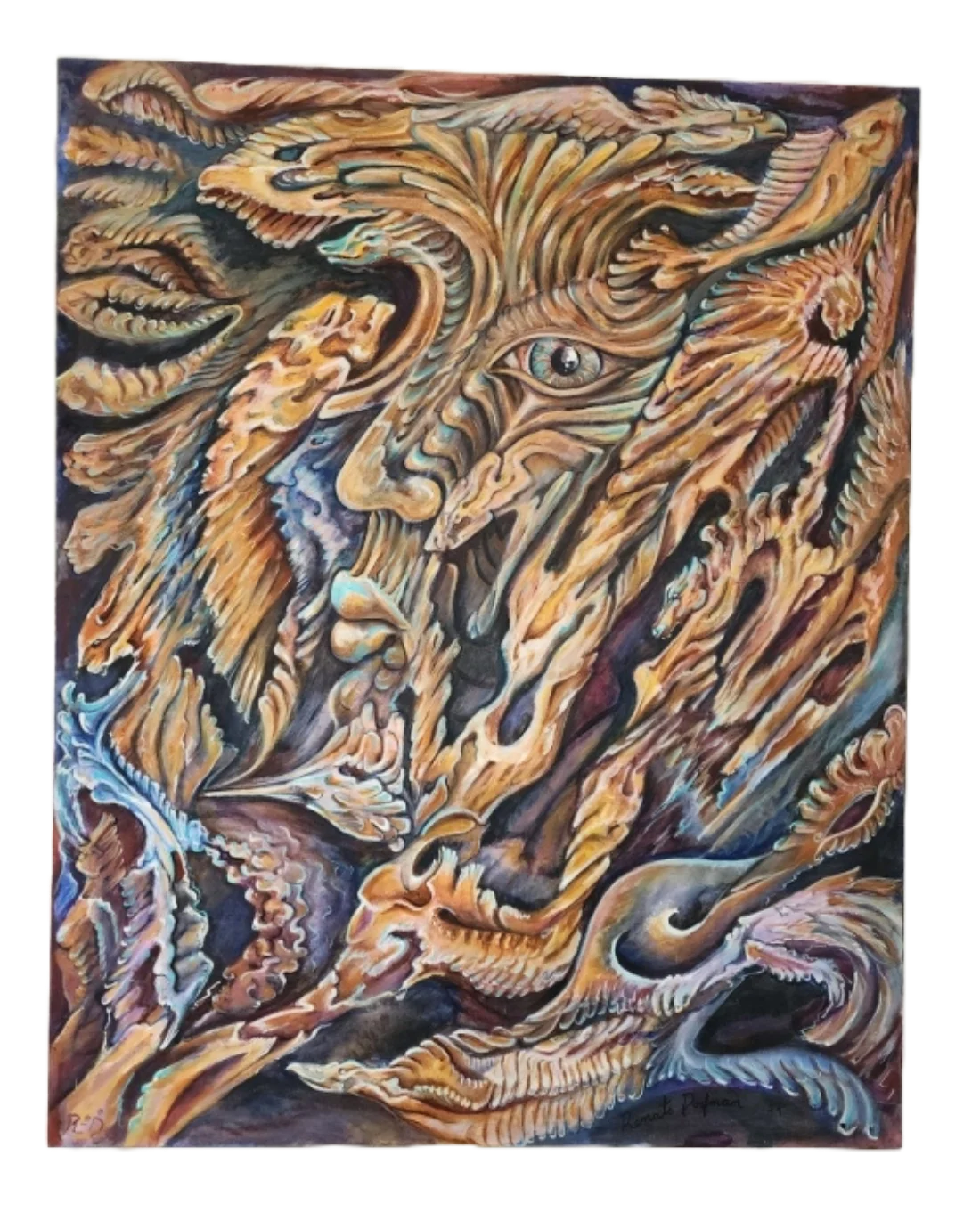 Orgin animal, vista del catálogo histórico